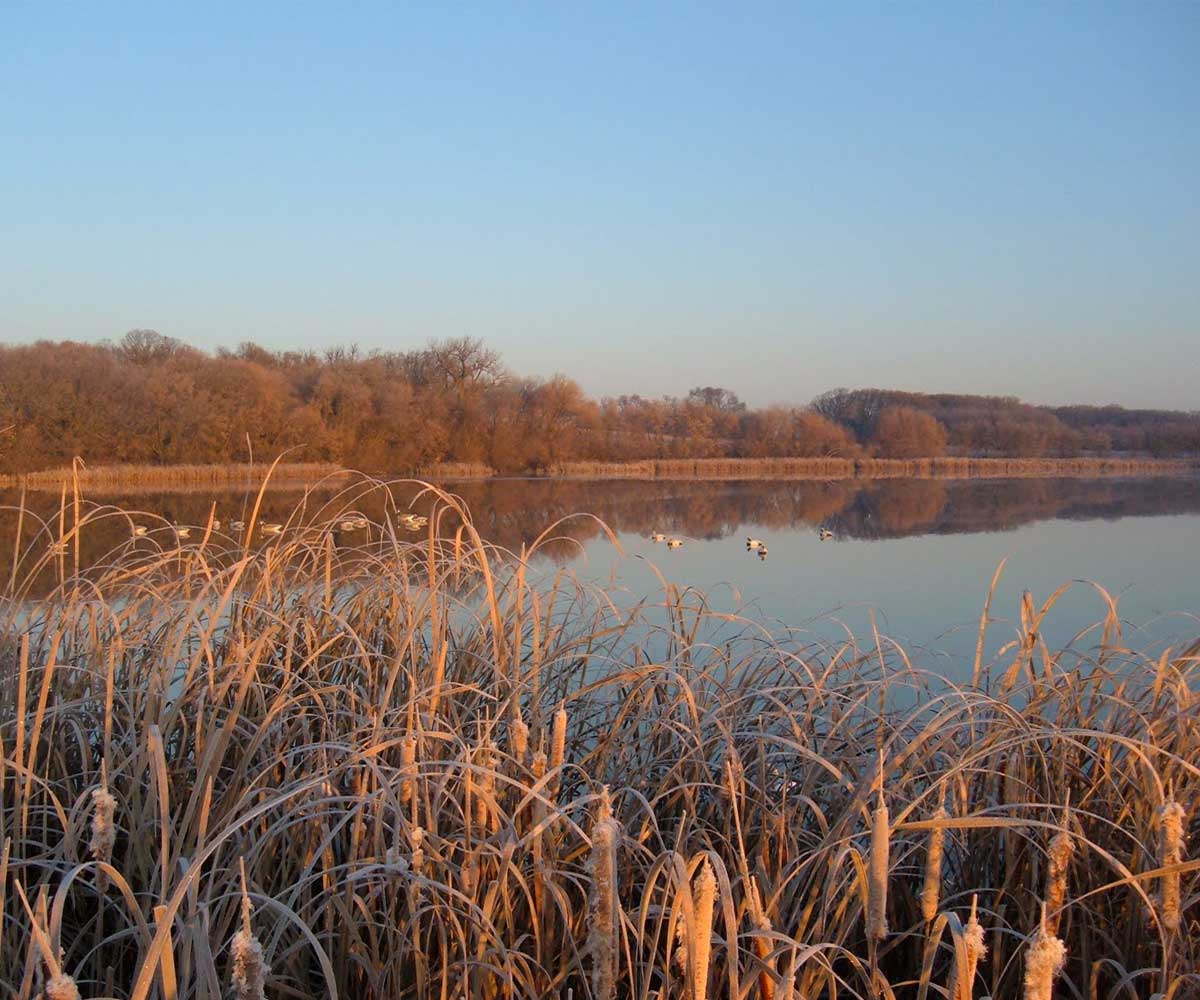 Arkansas Duck Hunts with Arkansas Duck Hunting Guides BMW Hunting